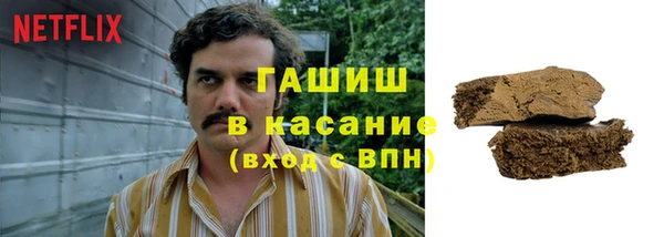 прущие грибы Ладушкин