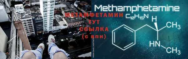 прущие грибы Ладушкин