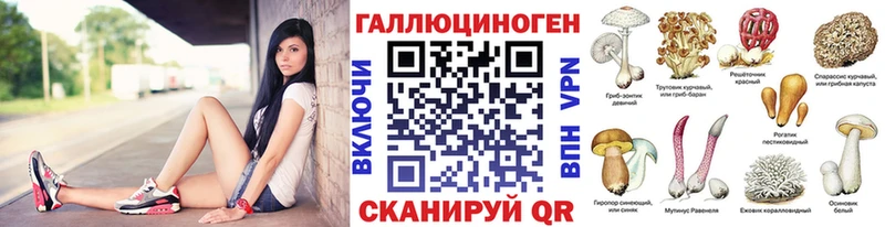 Галлюциногенные грибы Psilocybe Урень